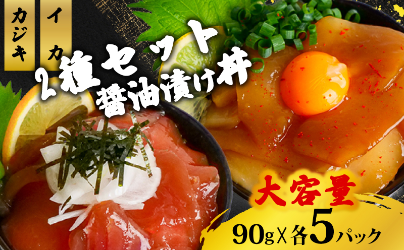 2種の漬け丼セット 90g×各5パック カジキマグロ イカ 【計10パック】