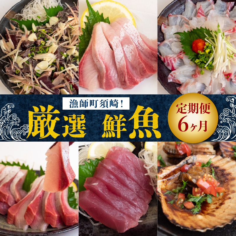 6ヶ月 定期便 旬 魚 刺身定期便 鮮魚