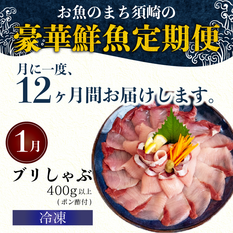 12ヶ月 定期便 旬 魚 刺身定期便 鮮魚
