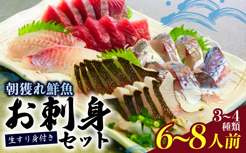 朝どれ地魚３～４種類 お刺身セット 生すり身付き【Ｂ】