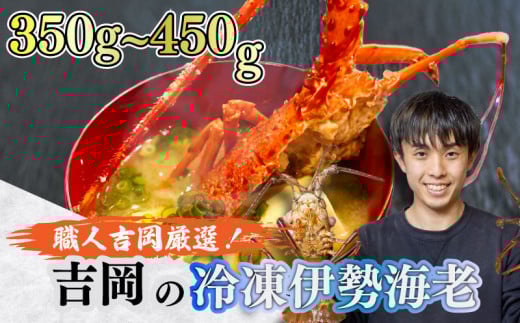 【吉岡の冷凍伊勢海老】 350g～450g 【高知県】