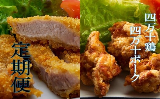 四万十鶏 唐揚げ用【特製たれ漬け】・四万十ポーク 豚カツ用【特製たれ付き】定期便 【道の駅須崎】