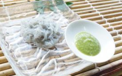 高知産ドロメ【生シラス】と葉にんにくのたれのセット