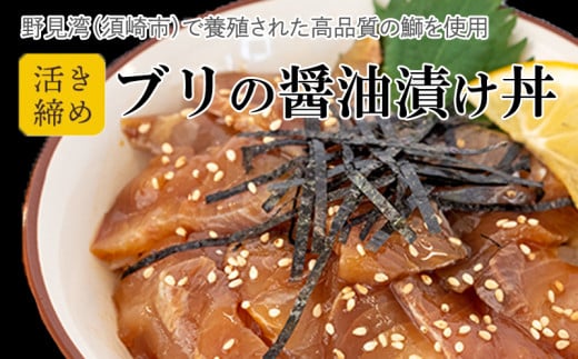 鰤 漬け丼 60g × 4パック | 海鮮 丼 醤油漬け 活き締め ブリ ぶり 惣菜 漬丼 お手軽 おかず 魚 刺身 小分け ギフト 人気 加工品 お茶漬け 冷凍 時短 国産 産地直送 みなみ丸 高知県 須崎市