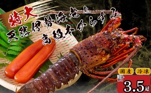 特大伊勢海老 5匹 本からすみ 500g 【 特大サイズ 急速冷凍 えび エビ からすみ カラスミ 珍味 鮮魚 海鮮 魚介 魚卵 刺身 焼き物 汁物 セット ギフト 贈答 贈り物 祝い 歳暮 中元 】 IKY065 【高知県】 伊勢海老 5尾：からすみ500g