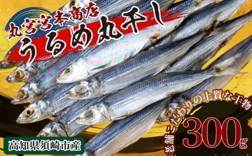 特上品 うるめ いわし 300g 干物 鰯 煮干し 真いわし 真鰯 稚魚 おやつ 乾物 魚介 加工品 ウルメ 丸宮 宮本 商店 土佐 海洋深層水 ミネラル 高知県 須崎市 MMY021-2x 特上品