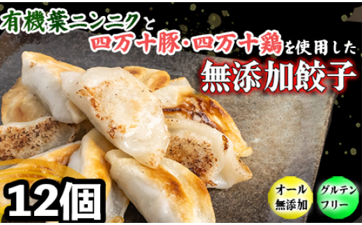  有機葉ニンニクと四万十豚で作った最高級餃子（6個x2パック）完全無添加 12個(6個x2パック)