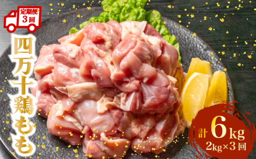 【定期便3回】銘柄鶏 四万十鶏 もも肉 計6kg（2kg×3ヶ月連続お届け) 5Dコース | 切身 カット 時短 小分け カット済み 鳥肉 とりにく 鶏もも 冷凍 国産 ブランド 唐揚げ 煮物 鍋 チキン 南蛮 高知県 須崎市 TM110000