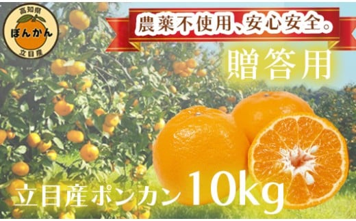 【 早期予約開始 】ポンカン 2026年1月下旬 発送 秀品 贈答用 10kg 無農薬 ブランド サイズ混合 家庭用 立目産ぽんかん 柑橘 高知県 須崎市 MO006 10kg秀品