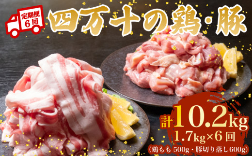 【6ヶ月連続】四万十ブランド 鶏肉500g 豚肉1.2kg（計1.7kg×6回)10.2kg 6回定期便 5Wコース｜ 四万十ポークスライス 四万十ポーク 豚バラ肉 小分け 小間切れ スライス 切り落とし 冷凍 真空パック 細切れ 切身 カット 一口大 カット済み  四万十鶏 鳥肉 とりにく 鶏もも 国産 ブランド 唐揚げ 煮物 鍋 チキン 高知県 須崎市 TM129000