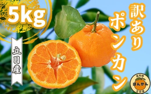 【早期予約開始】 2026年1月中旬より順次発送 ポンカン 訳あり 5kg サイズ混合 家庭用 立目 ブランド 果物 フルーツ 冬 柑橘 2026年 収穫分 みかん 蜜柑 デザート 高知県 須崎市 TMS001 5kg訳あり(サイズ混合)