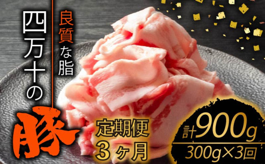 【定期3回】四万十ポークスライス 計900g【300g×3ヶ月連続お届け】 Vコース