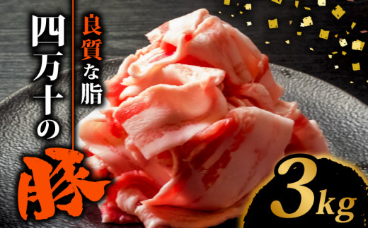 四万十ポークスライス3kg | 300g × 10パック セット 豚肉 豚バラ肉 小分け 小間切れ スライス 切り落とし 冷凍 真空パック 簡単調理 細切れ 大容量 肉 高知県 須崎市 TM040 3kg（300g×10パック）