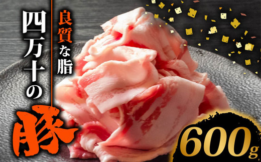 四万十ポークスライス600g | 300g × 2パック セット 豚肉 豚バラ肉 小分け 小間切れ スライス 切り落とし 冷凍 真空パック 簡単調理 細切れ 大容量 肉 高知県 須崎市 TM035 600g（300g×2パック）