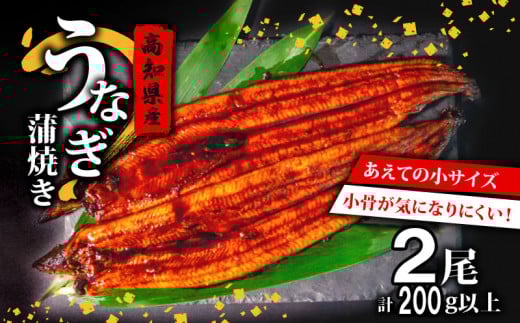  国産 うなぎ の 蒲焼き 2尾 ( 1尾 100g ~ 120g ) 尾頭付き 土用の丑の日 高知県産 蒲焼 特上 鰻 ひつまぶし うな丼 うな重 お歳暮 ギフト 冷凍 養殖 ふるさと納税うなぎ 高知県 須崎市 秘伝タレ付き 真空パック 惣菜 人気 ランキング おすすめ ME0301_x