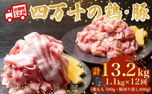 【12ヶ月連続】四万十ブランド 鶏肉500g 豚肉600g（計1.1kg×12回）13.2kg 12回定期便 5Rコース｜ 四万十ポークスライス 四万十ポーク 豚バラ肉 小分け 小間切れ スライス 切り落とし 冷凍 真空パック 細切れ 切身 カット 一口大 カット済み  四万十鶏 鳥肉 とりにく 鶏もも 国産 ブランド 唐揚げ 煮物 鍋 チキン 高知県 須崎市 TM124000