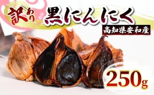【早期予約】 訳あり 黒にんにく250g あわ地区 野菜 高知 須崎 AWA016_x