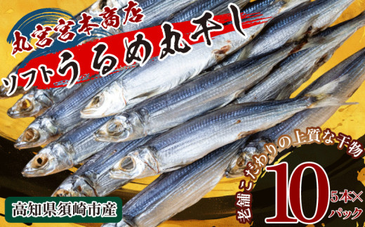 うるめの丸干し(ソフト) 10パック 鰯 煮干し 真いわし 真鰯 稚魚 おやつ 乾物 魚介 加工品 ウルメ 丸宮 宮本 商店 土佐 海洋深層水 ミネラル 高知県 須崎市  MMY046 ソフト