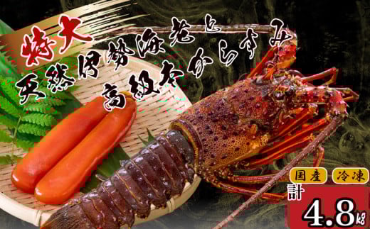 特大伊勢海老 7匹 本からすみ 600g 【 特大サイズ 急速冷凍 えび エビ からすみ カラスミ 珍味 鮮魚 海鮮 魚介 魚卵 刺身 焼き物 汁物 セット ギフト 贈答 贈り物 祝い 歳暮 中元 】 IKY066 【高知県】 伊勢海老 7尾：からすみ600g