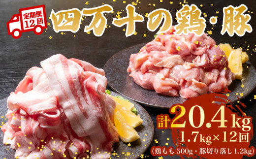 【12ヶ月連続】四万十ブランド 鶏肉500g 豚肉1.2kg（計1.7kg×12回)20.4kg 12回定期便 5Xコース｜ 四万十ポークスライス 四万十ポーク 豚バラ肉 小分け 小間切れ スライス 切り落とし 冷凍 真空パック 細切れ 切身 カット 一口大 カット済み  四万十鶏 鳥肉 とりにく 鶏もも 国産 ブランド 唐揚げ 煮物 鍋 チキン 高知県 須崎市 TM130000