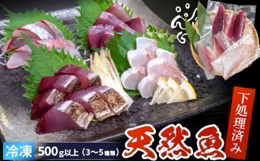 天然 鮮魚 詰め合わせ 朝獲れ直送 下処理済み 2~3種入り 500g以上 （2026年4月出荷） 冷凍 刺身 魚種お任せ 水揚げ 海鮮 魚介 産地直送 新鮮 魚 鮮魚ボックス 2026年4月出荷 500g（冷凍）