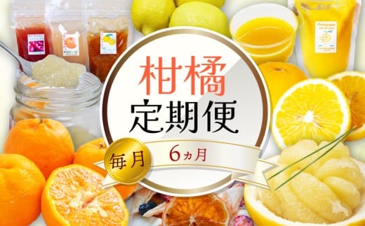 定期便 6回 6ヶ月 果物 ぽんかん 土佐 文旦 レモン はっさく 小夏 ジュース 温州 みかん オーガニック 無農薬 防腐剤 不使用 高知県 須崎市 柑橘 蜜柑 オレンジ フルーツ 果物 お取り寄せ 頒布会 家庭用 6回定期便