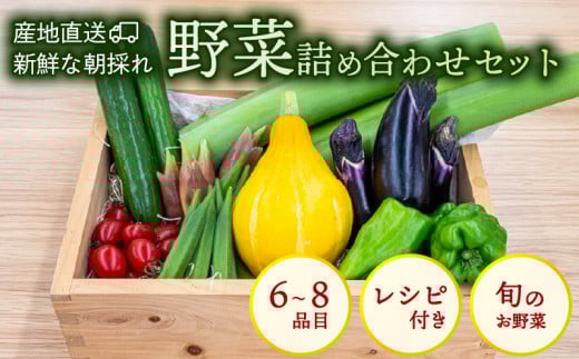 南国高知よりまごころ野菜セット 野菜でお家ごはん 【6～8品目】