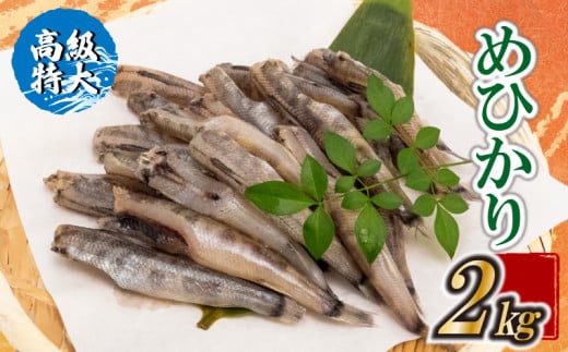 【高級】特大めひかり 2kg メヒカリ 干物 寒風 天日干し 魚 カルシウム 冷凍 産地直送 ご飯のお供 漁師 おつまみ 高知県 須崎市 TKM025 2kg