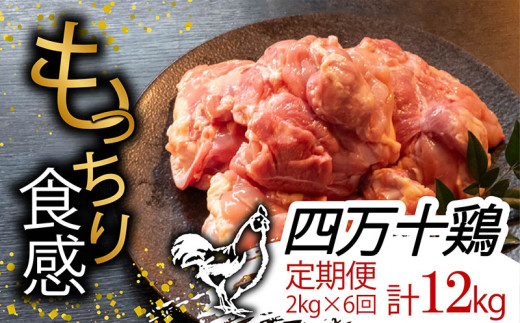 【定期6回】銘柄鶏 四万十鶏 もも肉 計12kg【2kg×6ヶ月連続お届け】 Tコース