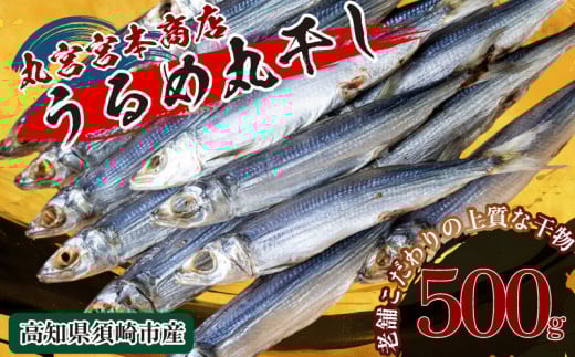 特上品 うるめいわし 500g 干物 鰯 煮干し 真いわし 真鰯 稚魚 おやつ 乾物 魚介 加工品 ウルメ 丸宮 宮本 商店 土佐 海洋深層水 ミネラル 高知県 須崎市  MMY020-2x 特選品