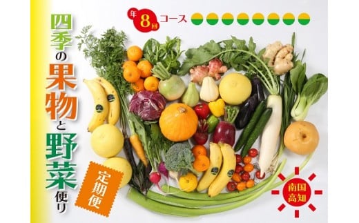 定期便 8回 野菜 おまかせ セット 10 ～ 14種 旬 新玉ねぎ そら豆 スナップえんどう 春キャベツ フルーツトマト じゃが芋 みょうが ズッキーニ オクラ コリンキー かぼちゃ すじなし豆 トマト 花ニラ さつま芋 栗 秋豆 ぶしゅかん しょうが キク芋 赤大根 白大根 かぶ カリフラワー 芽キャベツ 白菜 ブロッコリー 葉ニンニク ゆず 須崎 高知 頒布会 HNT3000