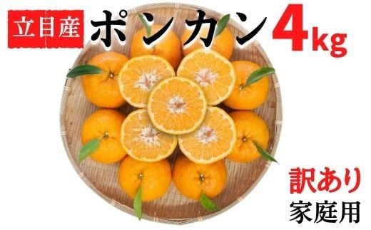 【早期予約 2026年1月中旬より順次発送】訳あり ぽんかん 4kg 家庭用 大小混合 不揃い 規格外 わけあり 高知県産 立目産 果物 フルーツ 柑橘 みかん 低農薬 高知県 須崎市