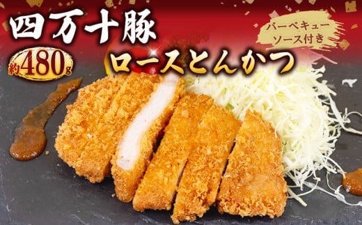 四万十ポークカツ【特製たれ付き】4人前 【道の駅須崎】 4人前(480g)