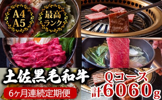 【6回定期】土佐黒毛和牛 食べ比べ 6060g 【計6kg以上】