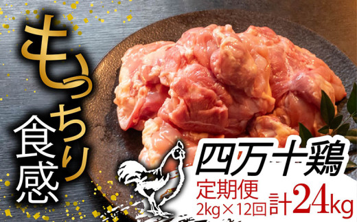 【定期12回】銘柄鶏 四万十鶏 もも肉 計24kg【2kg×12ヶ月連続お届け】 Uコース