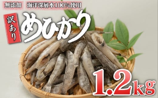 めひかり 1200g 白身 骨 丸ごと 魚 おかず おつまみ カルシウム ミネラル 天然塩 海洋深層水 丸宮 宮本商店 高知県 須崎市 MMY036 【丸宮宮本商店】 1200g