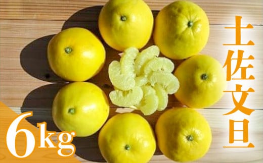 【2026年2月下旬より順次発送】 土佐文旦 6kg 高知県産 柑橘 フルーツ 文旦 ぶんたん ブンタン 分担 果物 みかん 文旦 産地直送 高知県 須崎 須崎市 南国高知からの贈り物 HNT011