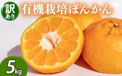【早期予約 2026年2月上旬より順次発送】 【有機JAS認定】有機ぽんかん L・2Lサイズ混合 5kg 5kg
