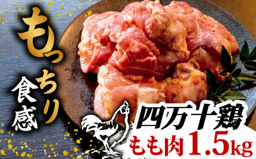 銘柄鶏 四万十鶏 もも肉 1.5kg ( 500g × 3パック ) | 切身 カットでかんたん時短セット カット済み 鳥肉 とりにく 鶏もも 冷凍 国産 ブランド 唐揚げ 煮物 鍋 チキン 南蛮 高知県 須崎市 TM043 1.5kg