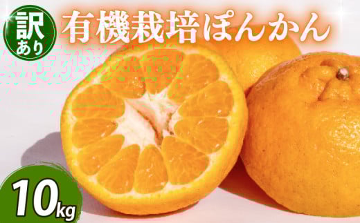【早期予約 2026年2月上旬より順次発送】 訳あり ぽんかん 10kg サイズ混合 オーガニック 無農薬 防腐剤 不使用 有機 JAS認定 柑橘 みかん 蜜柑 家庭用 10kg