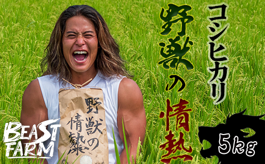 高知県産コシヒカリ　5kg コシヒカリ5kg