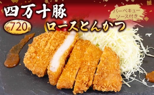 豚肉 とんかつ 720g 6人前 ブランド豚 四万十ポークカツ 豚カツ バーベキューソース付き 高知県 須崎市 ME004_2x 6人前(720g)