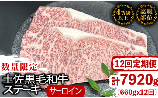 【定期12回】土佐黒毛和牛サーロインステーキ 計7.92kg【660g×12ヶ月連続お届け】 2Xコース