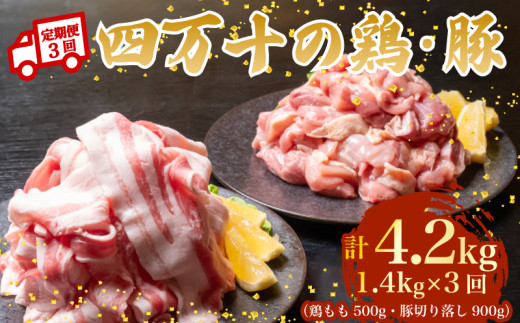【3ヶ月連続】四万十ブランド 鶏肉500g 豚肉900g（計1.4kg×3回）4.2kg 3回定期便 5Sコース｜ 四万十ポークスライス 四万十ポーク 豚バラ肉 小分け 小間切れ スライス 切り落とし 冷凍 真空パック 細切れ 切身 カット 一口大 カット済み  四万十鶏 鳥肉 とりにく 鶏もも 国産 ブランド 唐揚げ 煮物 鍋 チキン 高知県 須崎市 TM125000