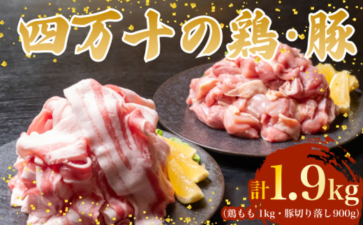 【四万十ブランド】 鶏肉 と 豚肉 の セット 計1.9kg ( 鶏もも肉 1kg と 豚肉 スライス 900g ) | 四万十ポーク スライス 四万十鶏 鶏モモ セット 豚肉 豚バラ肉 小分け 小間切れ 切り落とし 冷凍 真空パック 簡単 調理 細切れ 切身 カット済み 鳥肉 とりにく 鶏もも モモ肉 ブランド 唐揚げ 煮物 鍋 チキン 南蛮 肉 高知県 須崎市 TM053 鶏もも肉1kgと豚肉スライス900g