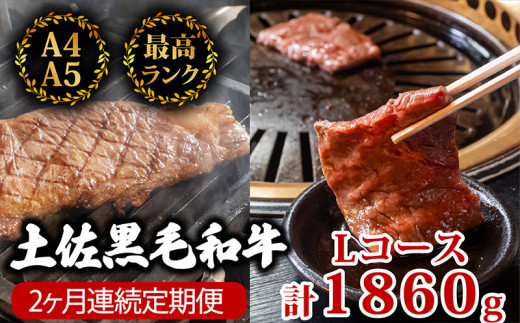 【2回定期】土佐黒毛和牛 食べ比べ 1860g 【計1.8kg以上】