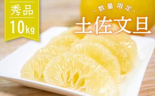 【2026年2月より順次発送】 土佐文旦 秀品 10kg 高知県産 柑橘 フルーツ 文旦 ぶんたん ブンタン 果物 産地直送 高知県 須崎 KG001 秀品10kg