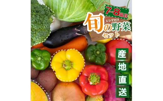野菜セット 野菜セット（おためし1回）