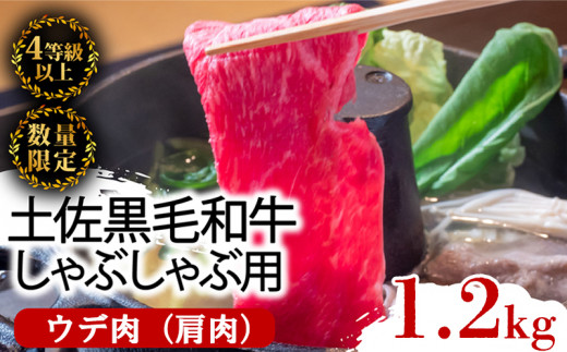 土佐 黒毛 和牛 しゃぶしゃぶ用 1.2kg 【 600g × 2パック 】