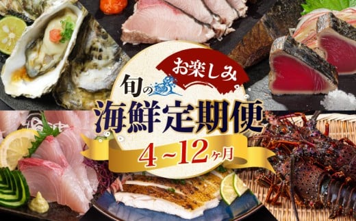【 高知 の 海鮮 定期便 】 旬 海鮮定期便 6回 お楽しみ 高知 海鮮 かつお タタキ 鯛 タイ 勘八 カンパチ 牡蠣 カキ しらす シラス ウツボ うつぼ 貝 盛合 定期便 6回  半年 高級魚  魚貝 道の駅 高知県 須崎市 NS10000-x 【須崎の鮮魚定期便】6ヶ月コース